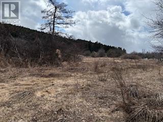 937054 Airport Road, Mulmur, Ontario  L9V 0L6 - Photo 4 - X12920602