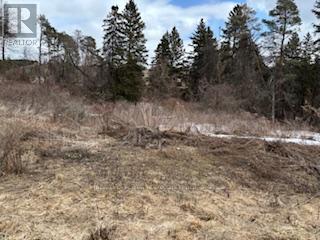 937054 Airport Road, Mulmur, Ontario  L9V 0L6 - Photo 5 - X12920602