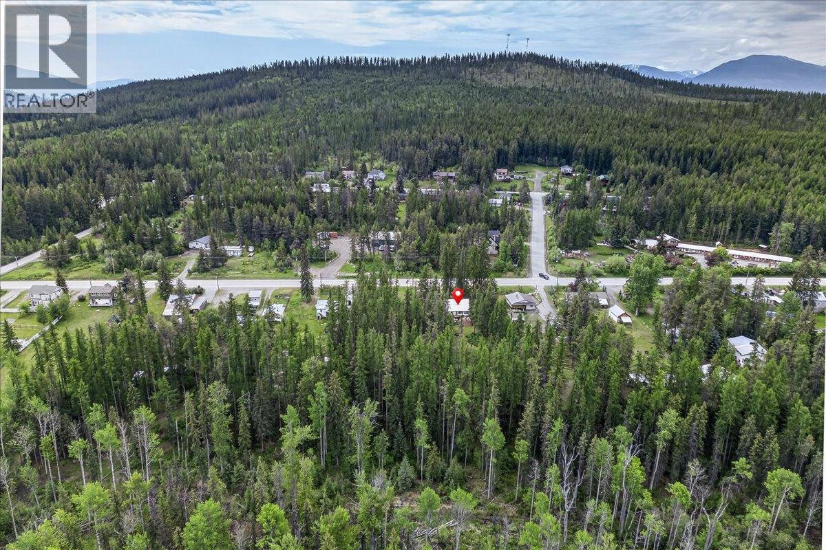 8807 Highway 95a, Kimberley, British Columbia  V1A 3M6 - Photo 47 - 10389160