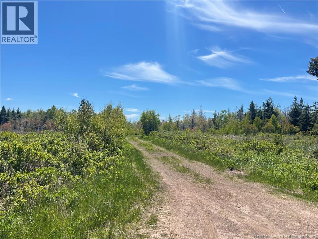 Lot 95-5 P'tit Barachois Road, Grand-Barachois, New Brunswick  E4P 7Y3 - Photo 10 - NB135618