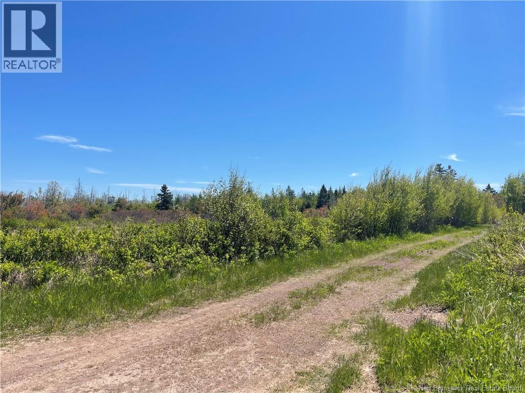 Lot 95-5 P'tit Barachois Road, Grand-Barachois, New Brunswick  E4P 7Y3 - Photo 9 - NB135618