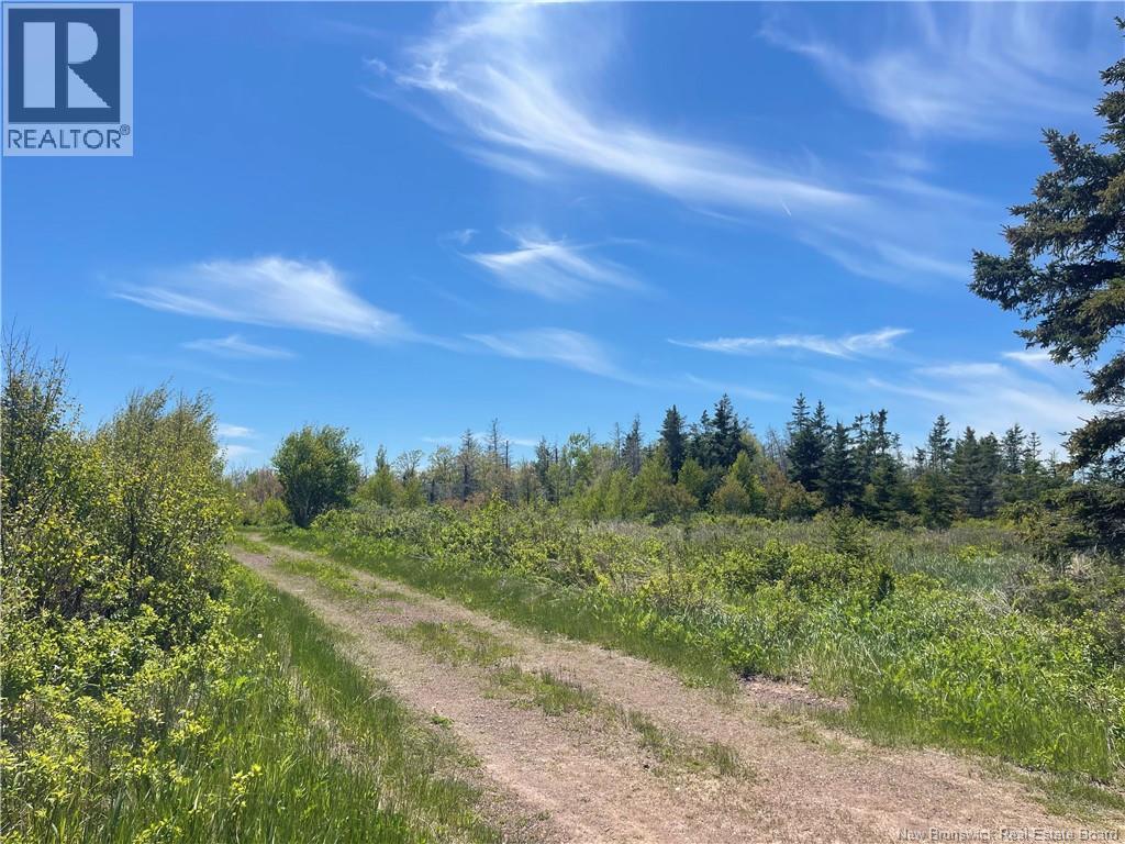 Lot 95-5 P'tit Barachois Road, Grand-Barachois, New Brunswick  E4P 7Y3 - Photo 8 - NB135618