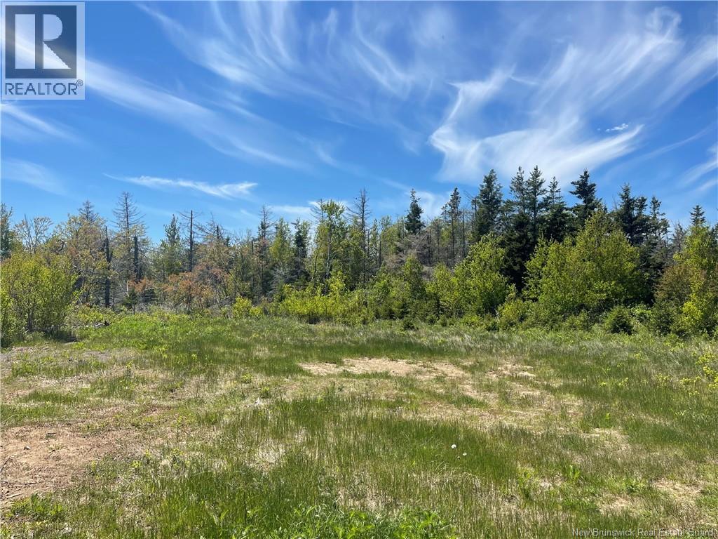 Lot 95-5 P'tit Barachois Road, Grand-Barachois, New Brunswick  E4P 7Y3 - Photo 4 - NB135618