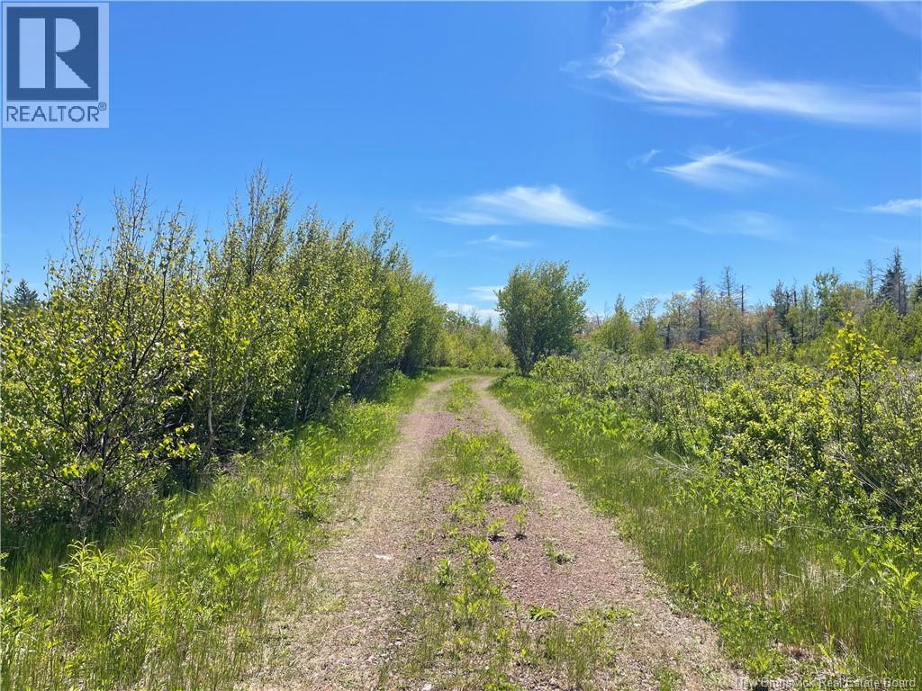 Lot 95-5 P'tit Barachois Road, grand-barachois, New Brunswick