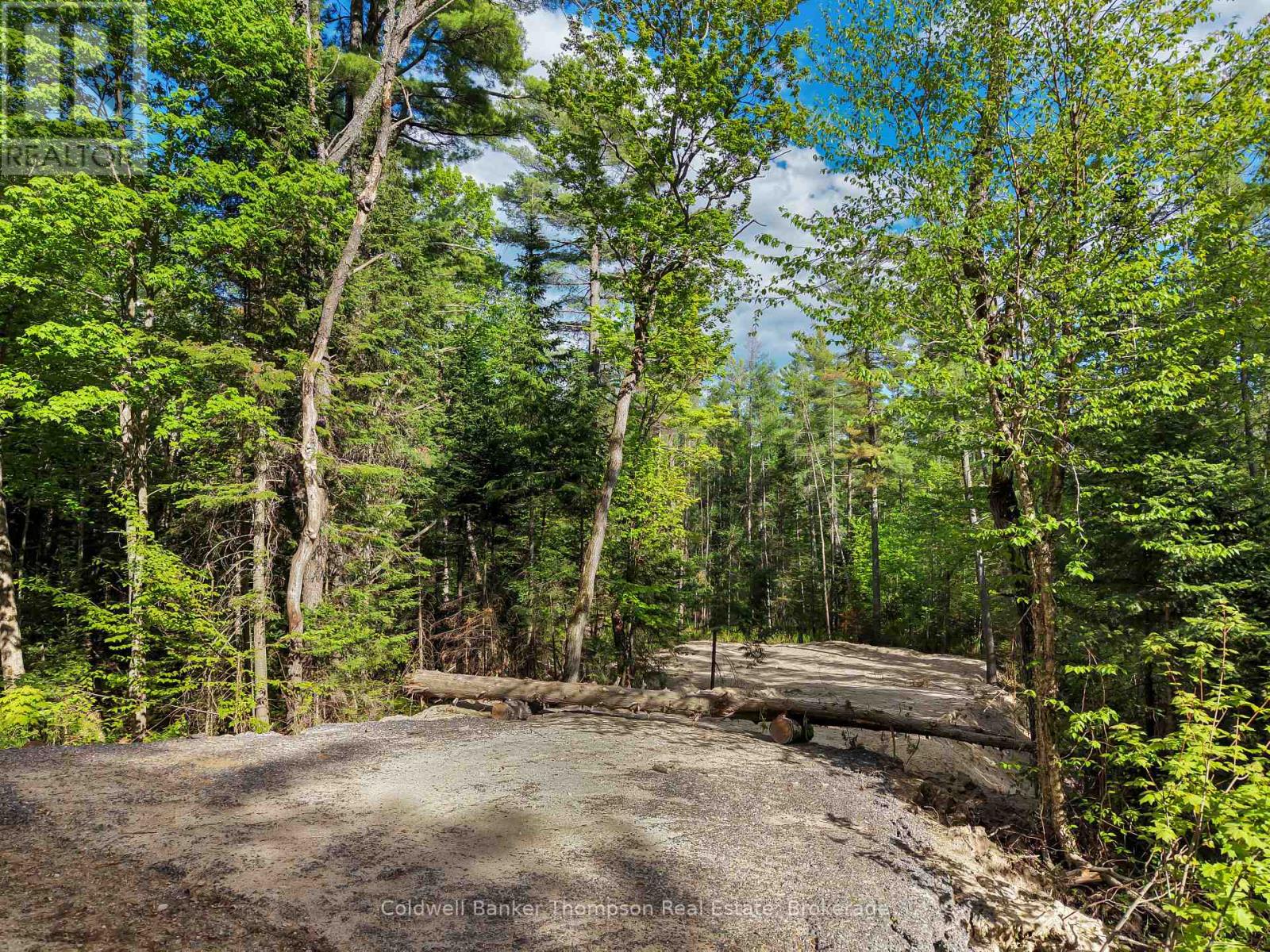 Part 6 Axe Lake Road, Mcmurrich/monteith, Ontario P0A 1Y0 - Photo 8 - X13166792