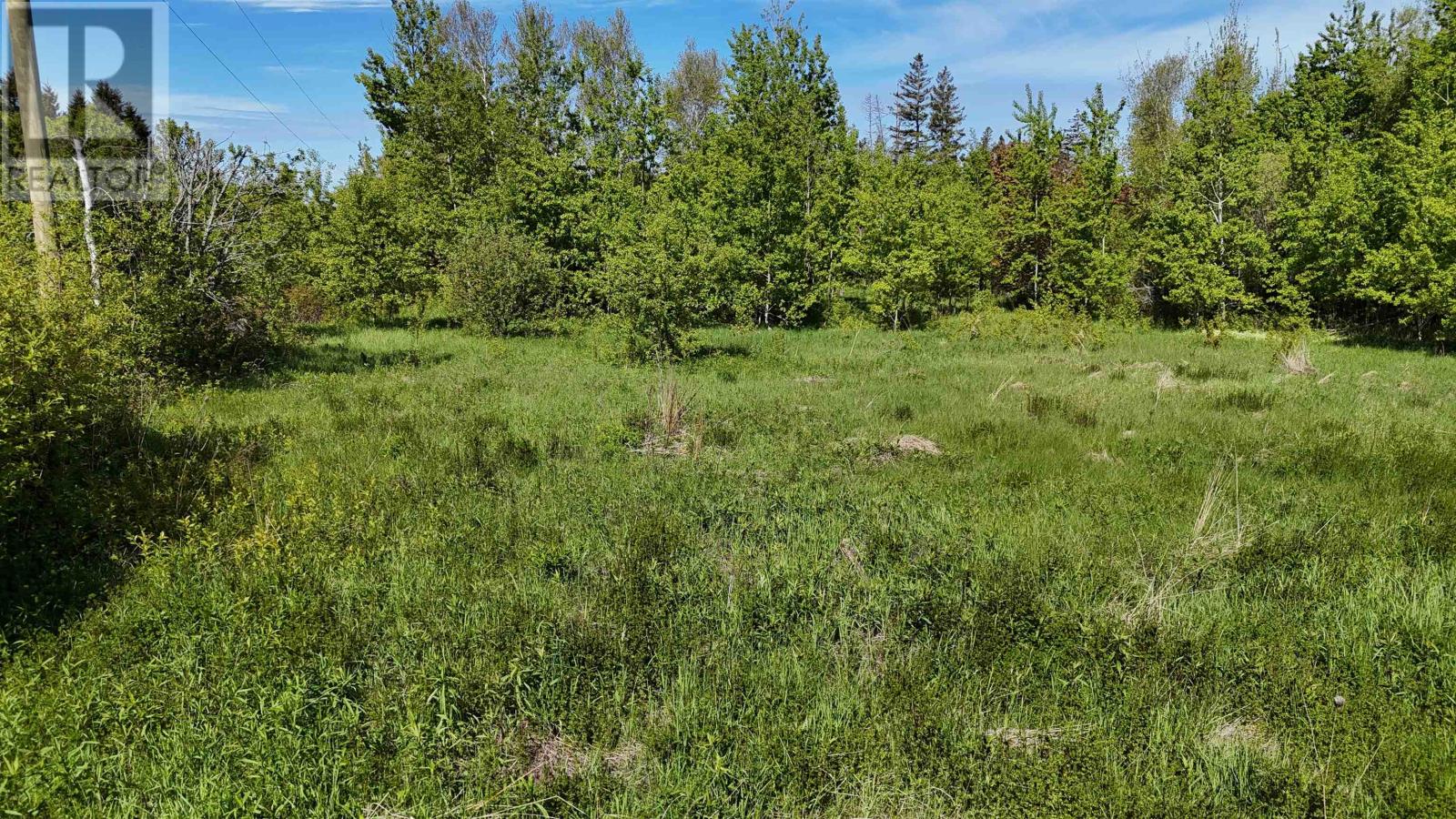 3492 Dock Road, Campbellton, Prince Edward Island  C0B 1V0 - Photo 5 - 202613132