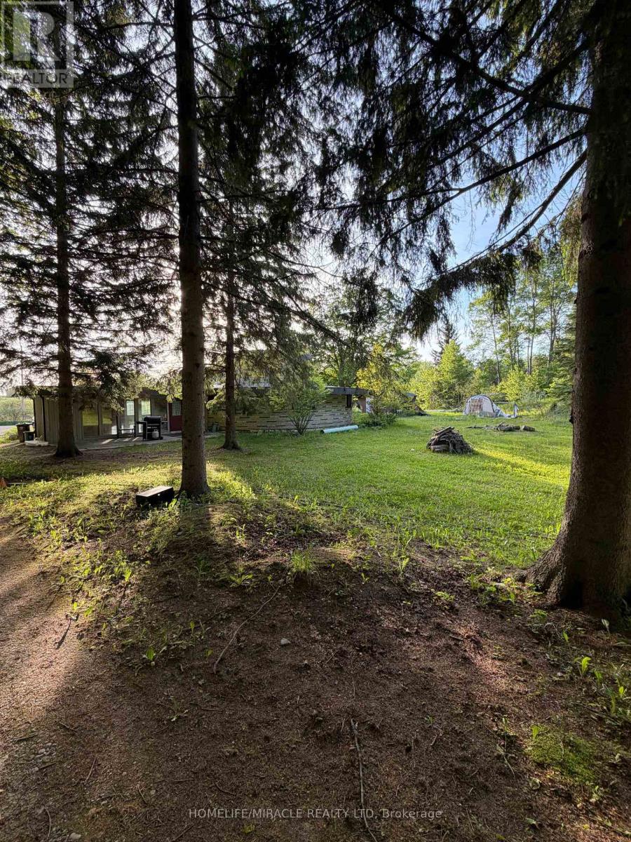 1065 Concession Rd 8 Road, Adjala-Tosorontio, Ontario L0G 1W0 - Photo 26 - N13235562