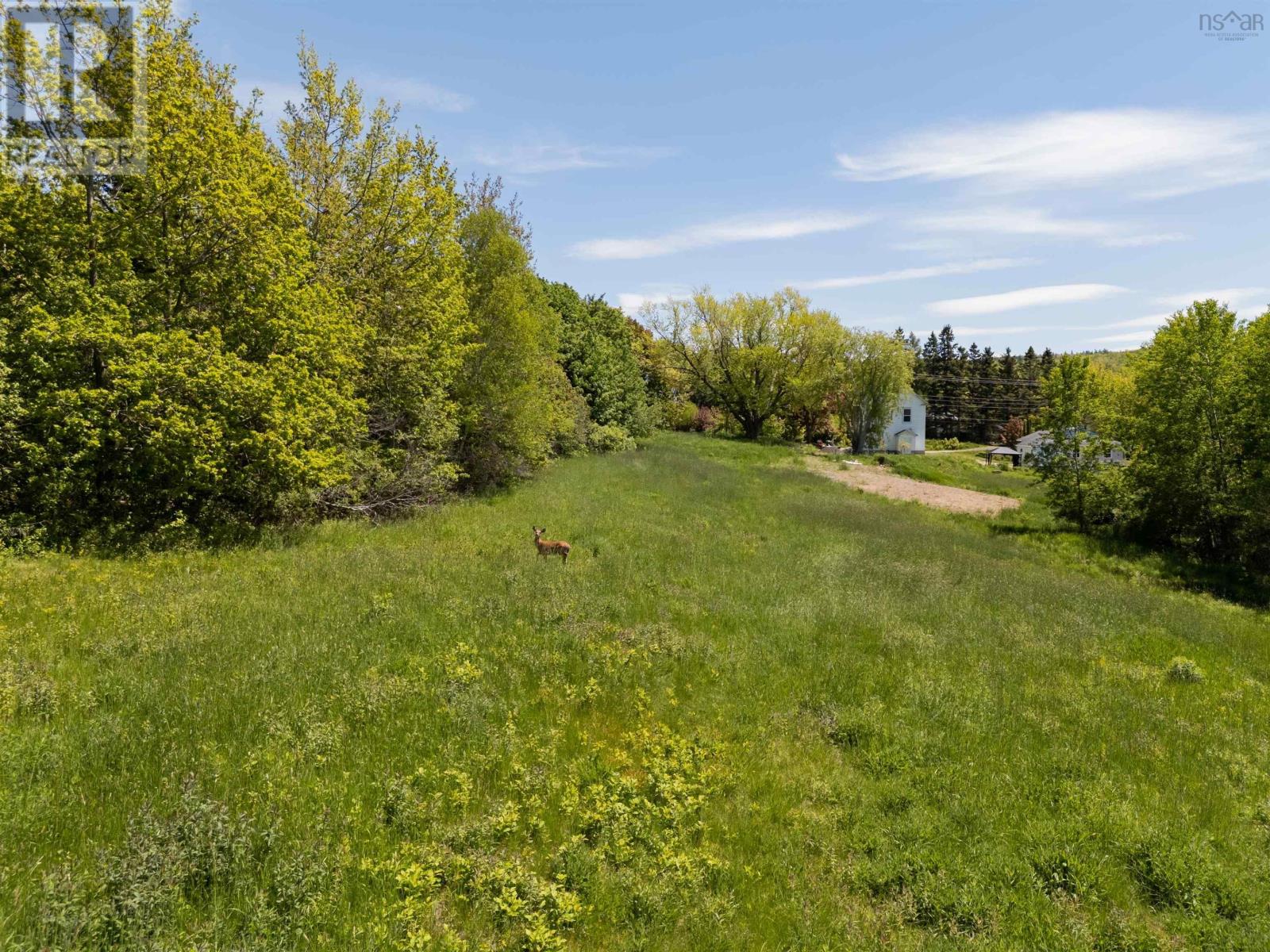 Lot Highway 201, Moschelle, Nova Scotia  B0S 1A0 - Photo 8 - 202603568