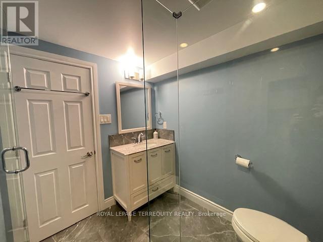 Bsmt - 482 Camden Circle, Mississauga, Ontario  L4Z 2V6 - Photo 18 - W13235646