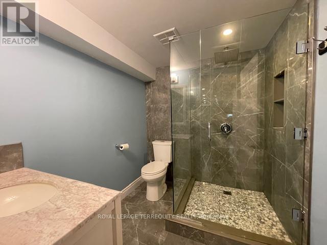 Bsmt - 482 Camden Circle, Mississauga, Ontario  L4Z 2V6 - Photo 19 - W13235646
