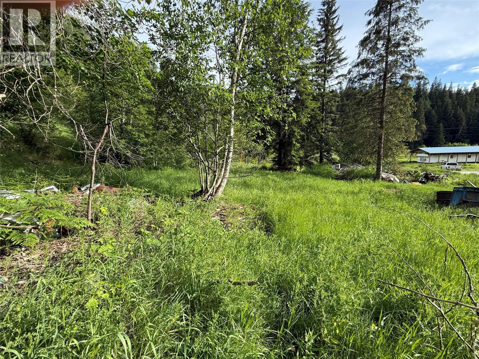 3341 Pass Creek Road, Krestova, British Columbia  V0G 1H2 - Photo 6 - 10388833