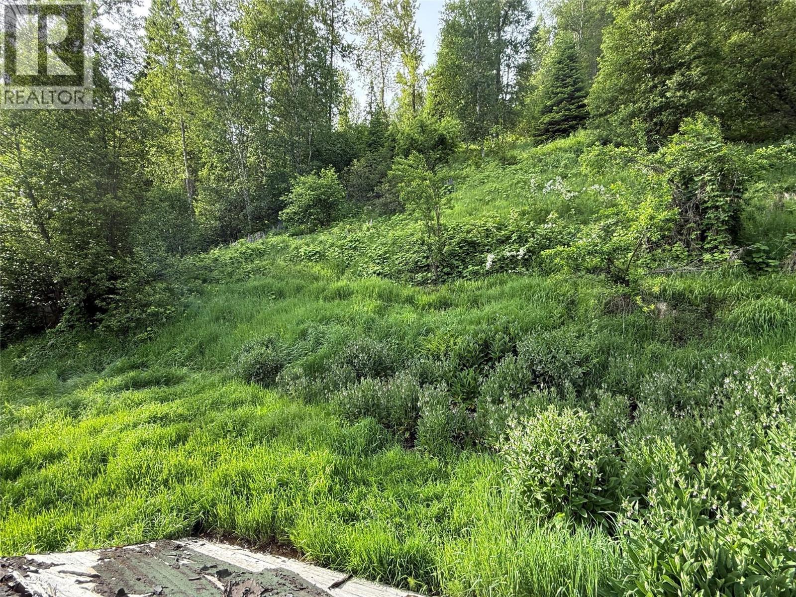 3341 Pass Creek Road, Krestova, British Columbia  V0G 1H2 - Photo 3 - 10388833