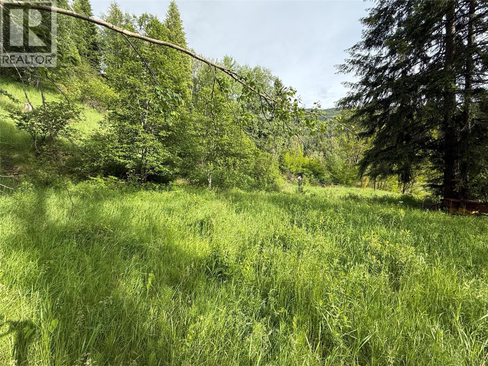 3341 Pass Creek Road, Krestova, British Columbia  V0G 1H2 - Photo 7 - 10388833