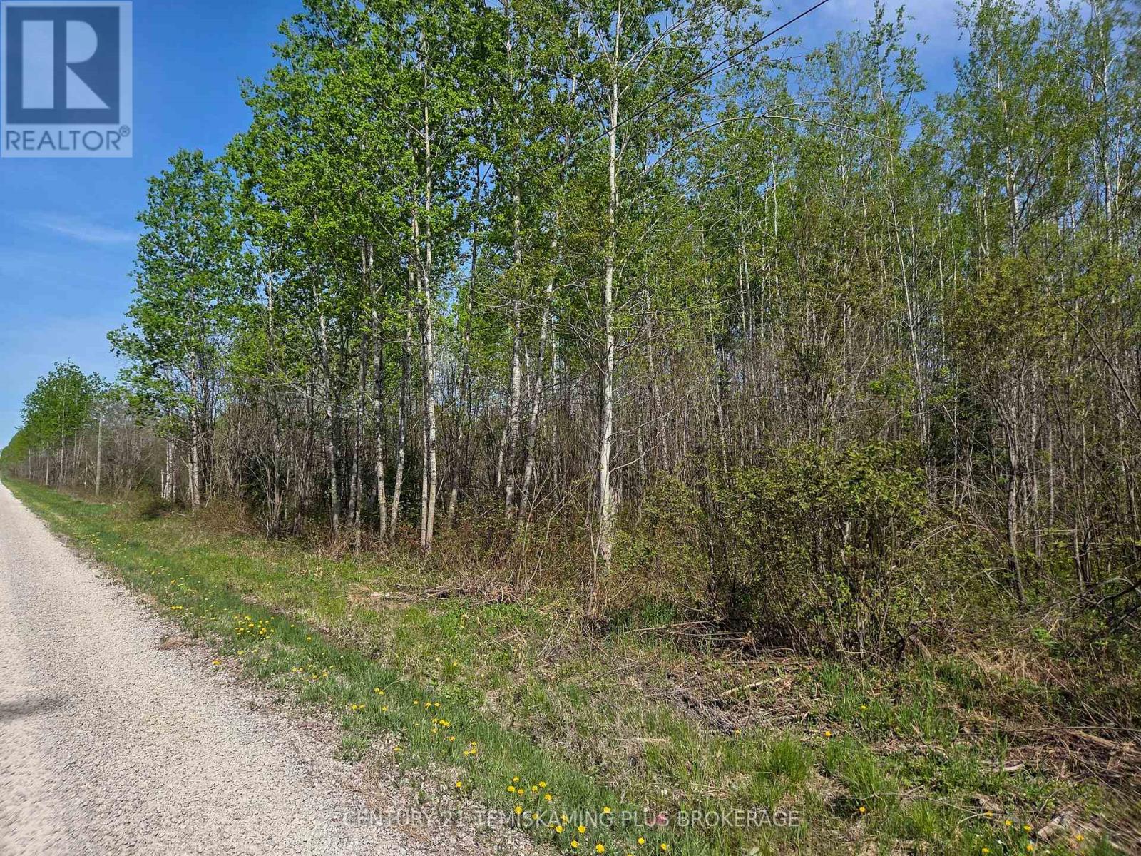 Pt 1 - Shalf Lt 7 Con 5 Chamberlain 5 Road, Englehart, Ontario  P0J 1H0 - Photo 19 - T13103540