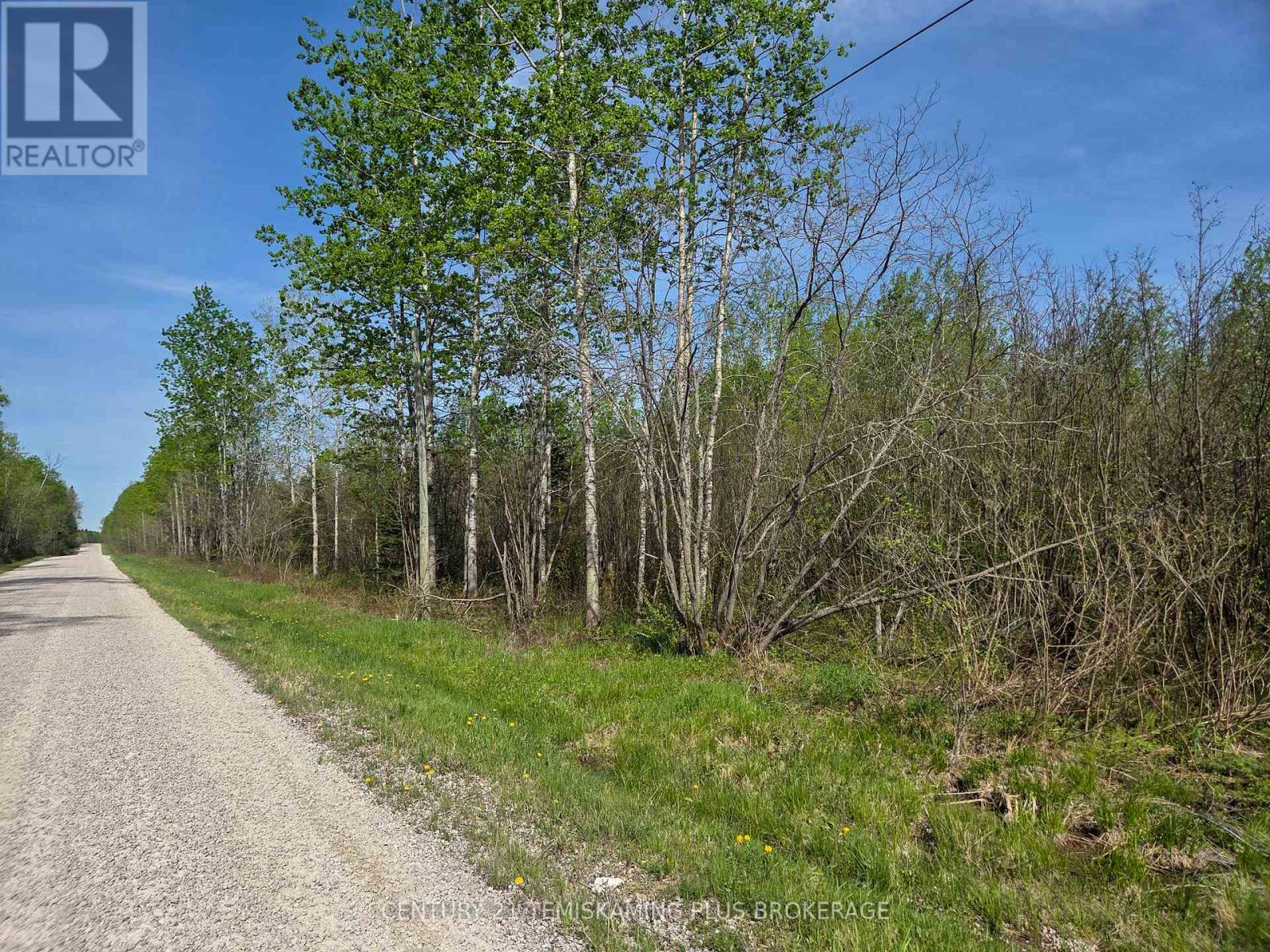 Pt 1 - Shalf Lt 7 Con 5 Chamberlain 5 Road, Englehart, Ontario  P0J 1H0 - Photo 16 - T13103540