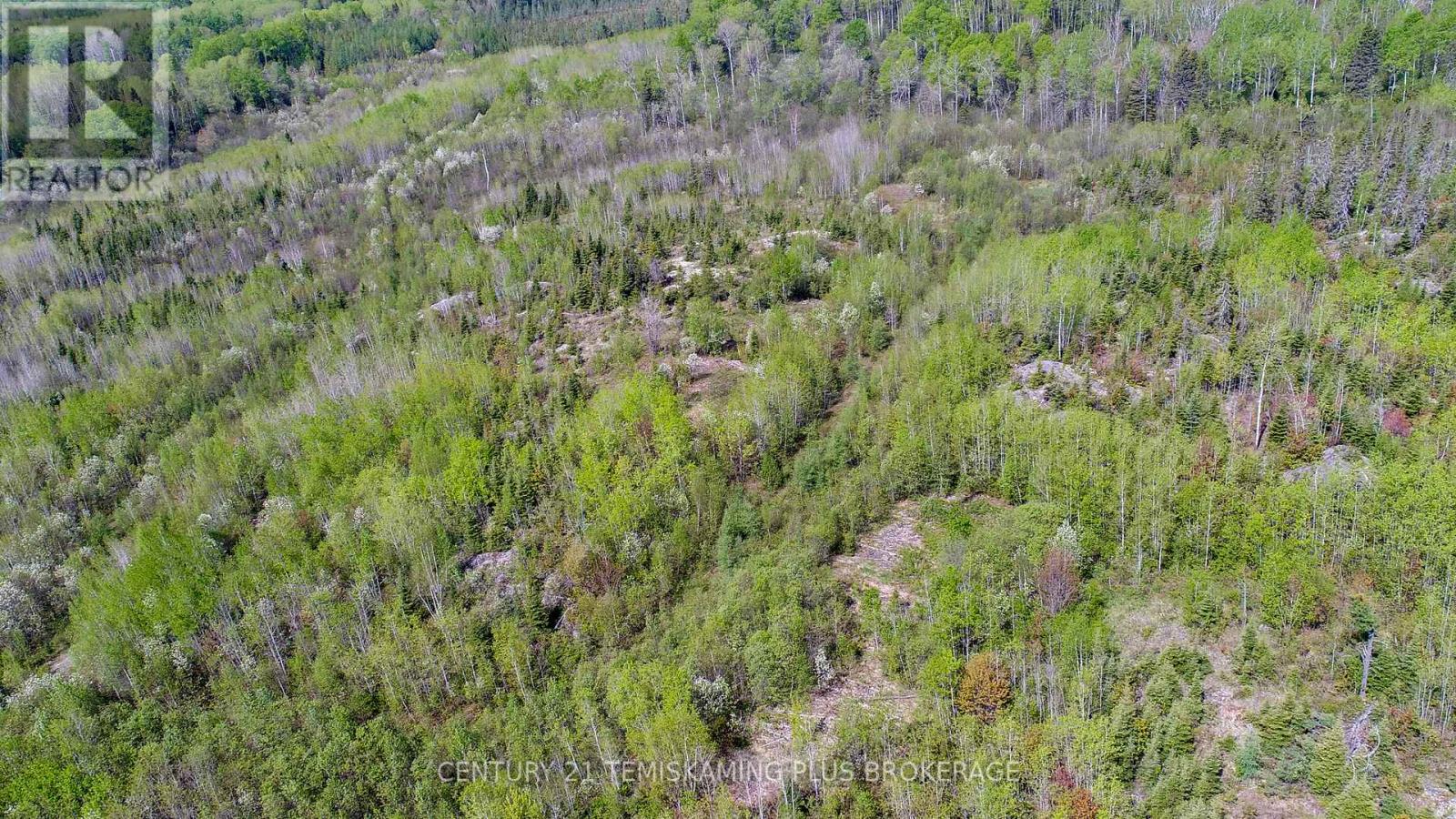 Pcl8068 Highway 624, Kirkland Lake, Ontario  P0J 1L0 - Photo 11 - T12973644