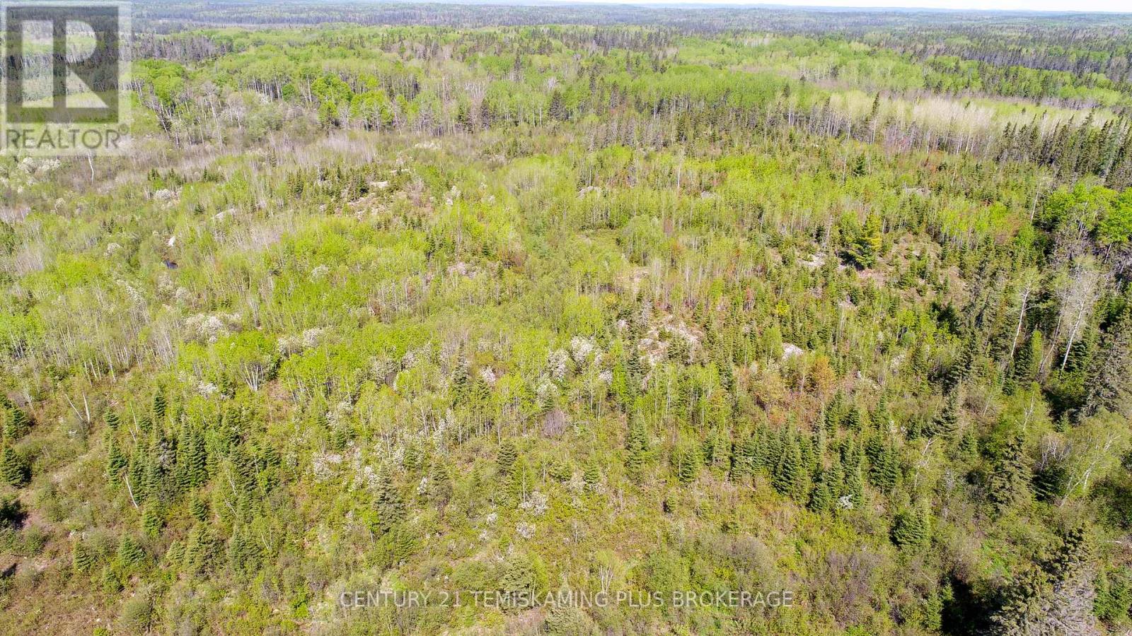 Pcl8068 Highway 624, Kirkland Lake, Ontario  P0J 1L0 - Photo 9 - T12973644