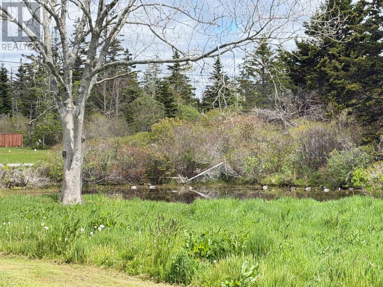 20 Jacquard Road, Lower Wedgeport, Nova Scotia  B0W 2P0 - Photo 22 - 202613142
