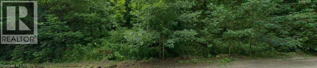 Lorem Ipsum Dolor S, Apsley, Ontario  K0L  - Photo 2 - DEMO29848800