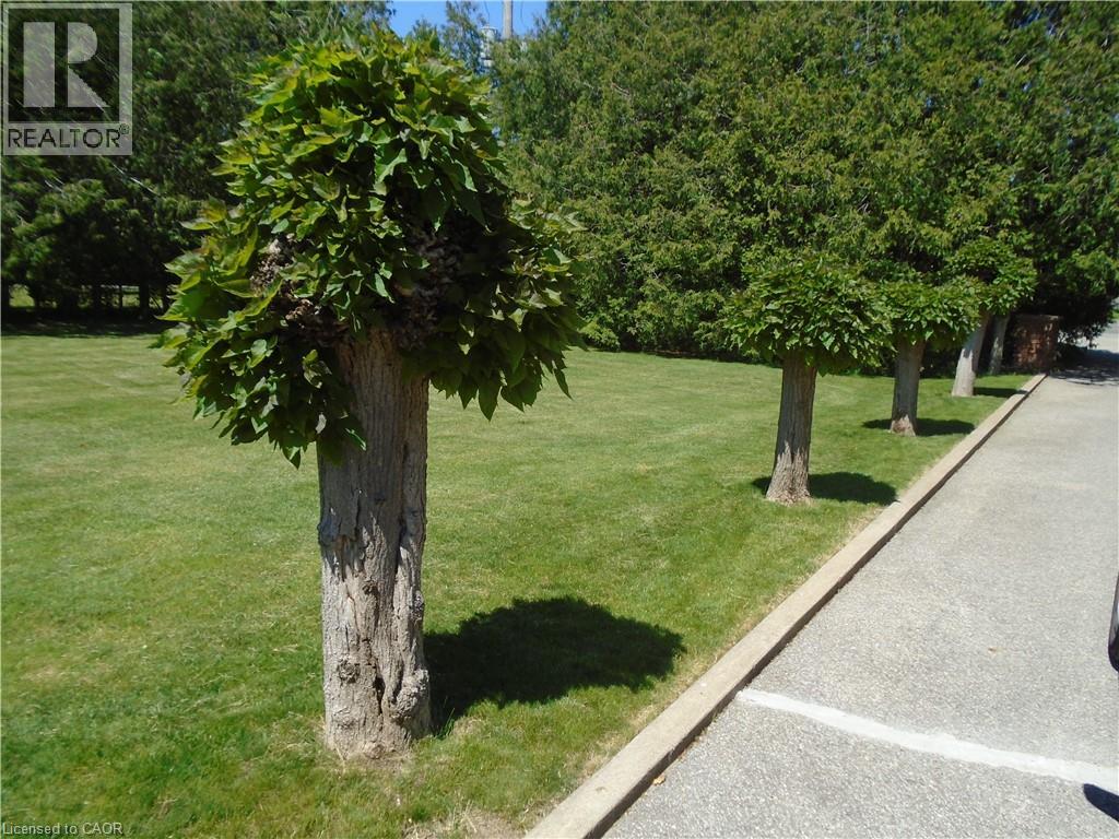 1841 Turkey Point Road, Charlotteville, Ontario  N3Y 4J9 - Photo 30 - 40835992