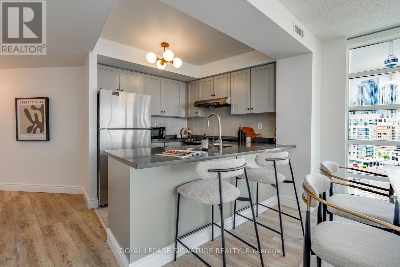 1007 - 650 Queens Quay W, Toronto, Ontario  M5V 3Y7 - Photo 5 - C13236524