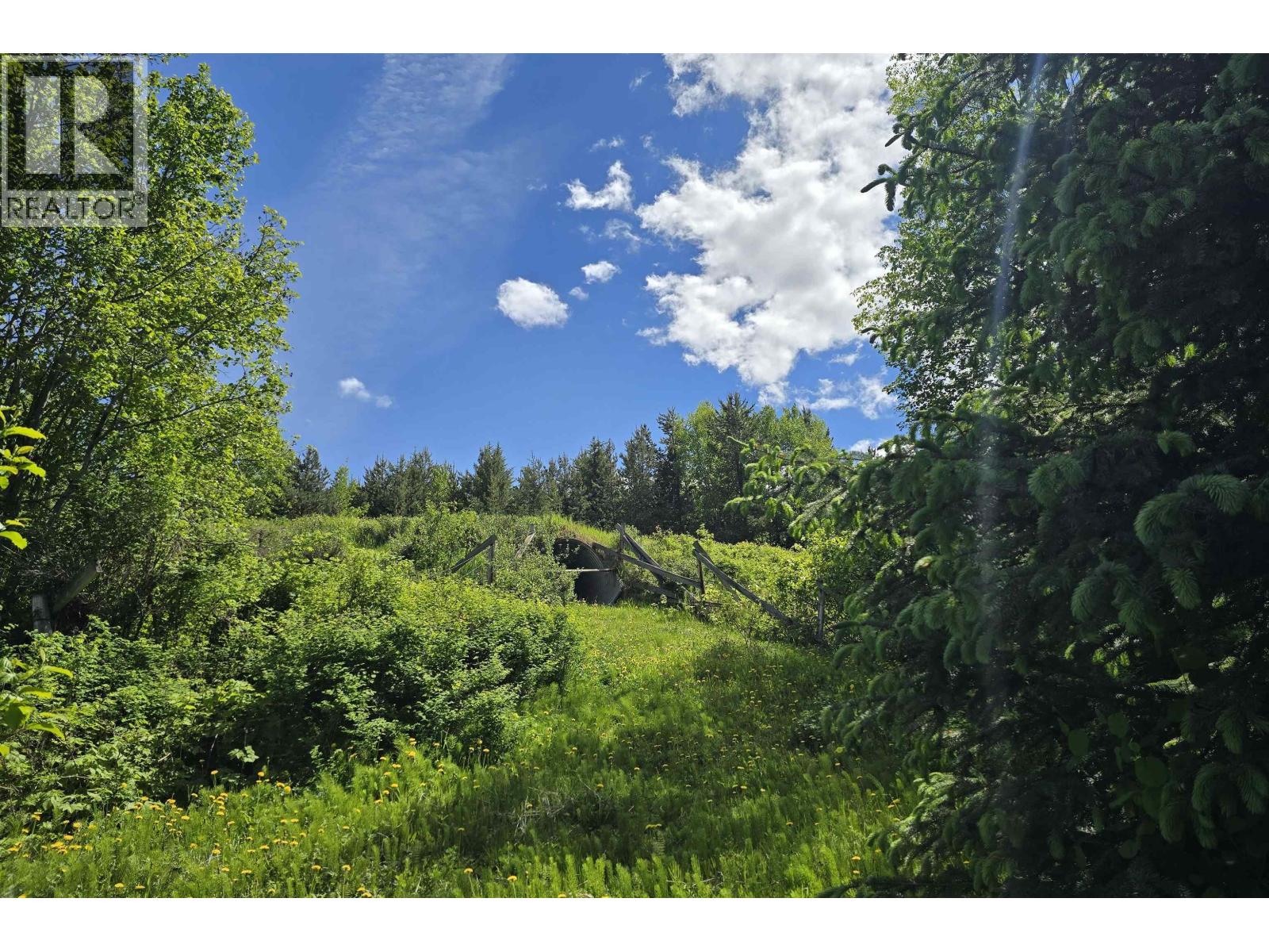 Lorem Ipsum Dolor Si, Kitwanga, British Columbia  V0J  - Photo 35 - DEMO29848333
