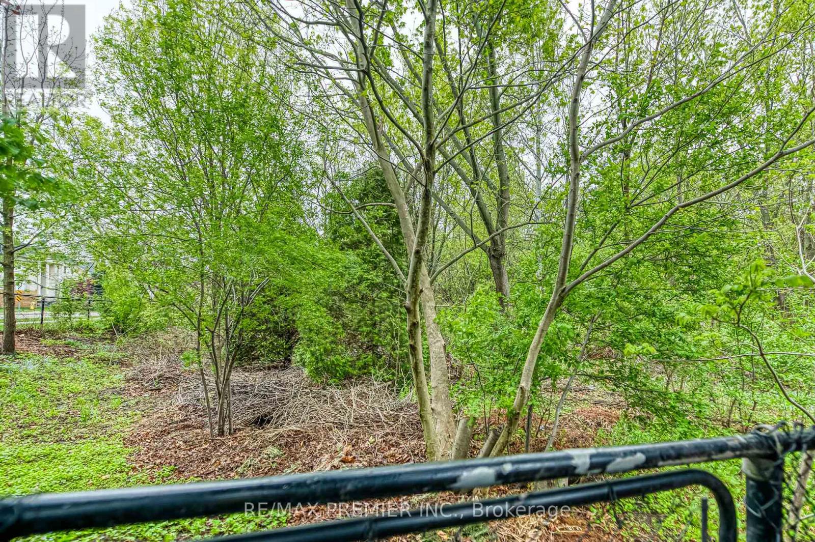 Bsmt - 1 Johnswood Crescent, Vaughan, Ontario  L4H 1Y3 - Photo 26 - N13236522