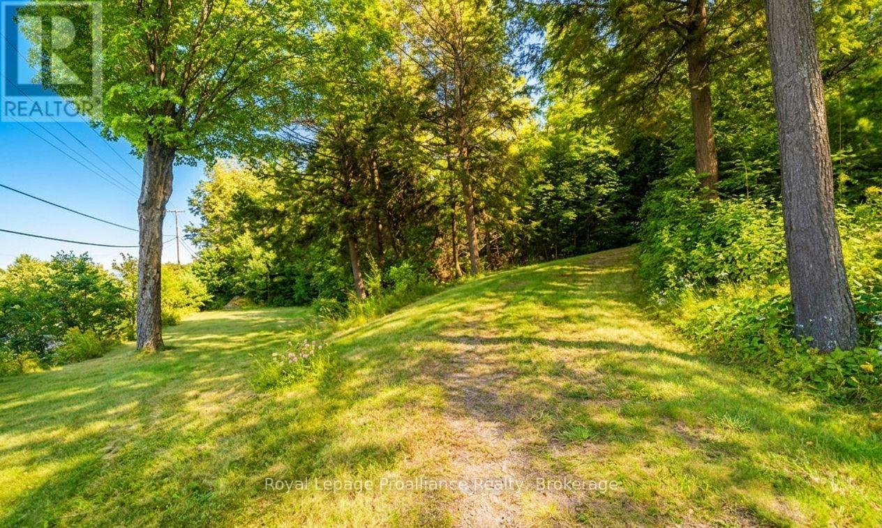 17100 Highway 41, Addington Highlands, Ontario  K0H 1K0 - Photo 3 - X13236222