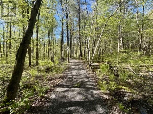 339 Dry Pine Road, French River, Ontario  P0M 1A0 - Photo 10 - 2128199
