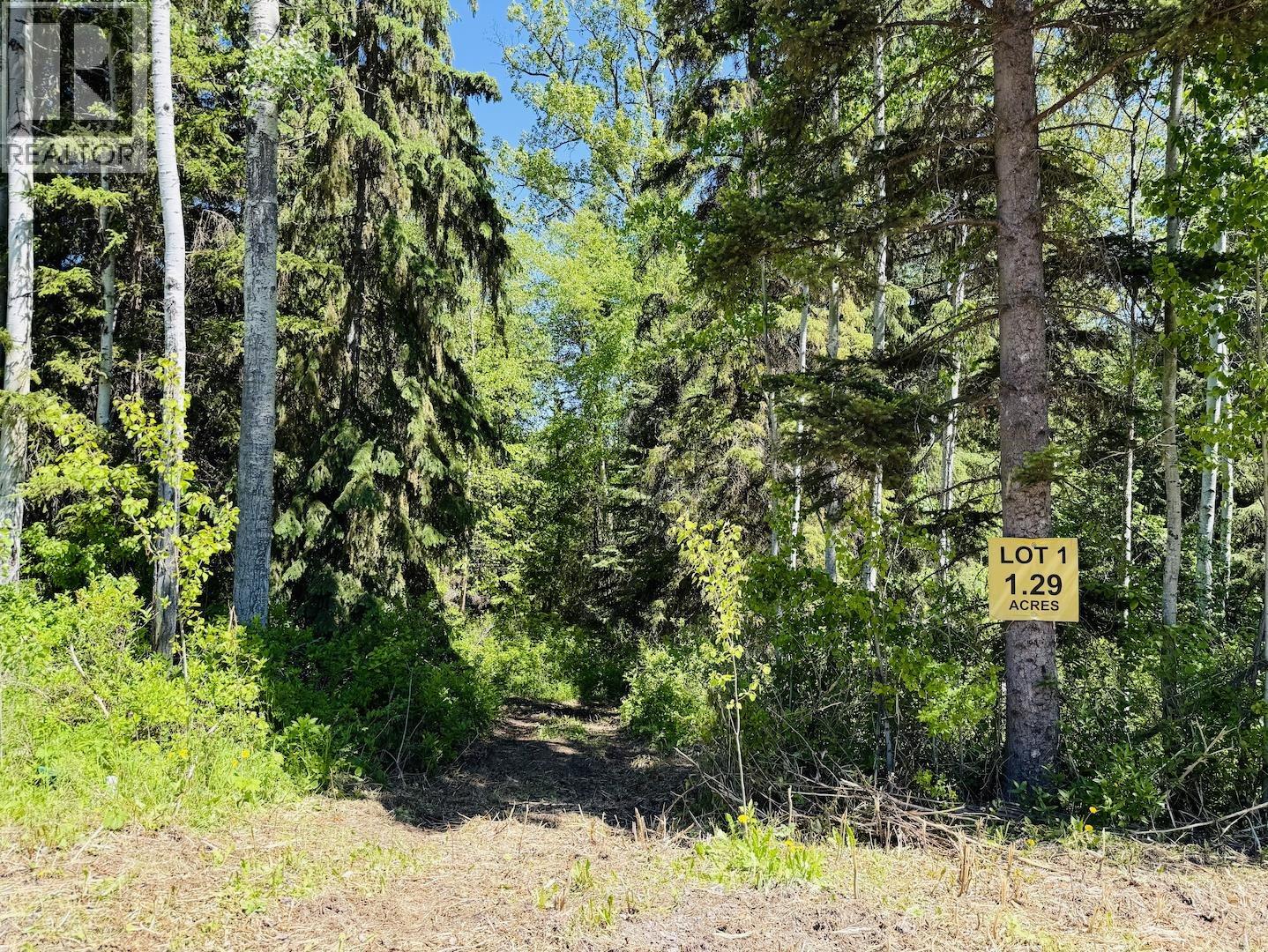 1 3000 Dahlie Road, Smithers, British Columbia  V0J 2N4 - Photo 3 - R3029043
