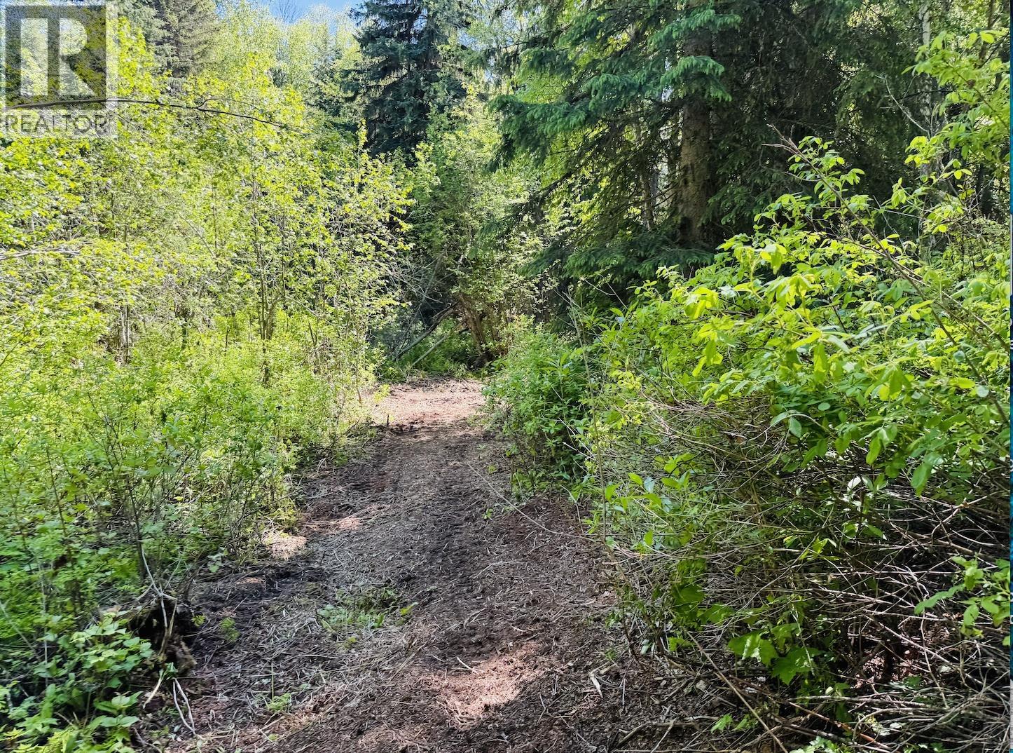 1 3000 Dahlie Road, Smithers, British Columbia  V0J 2N4 - Photo 6 - R3029043