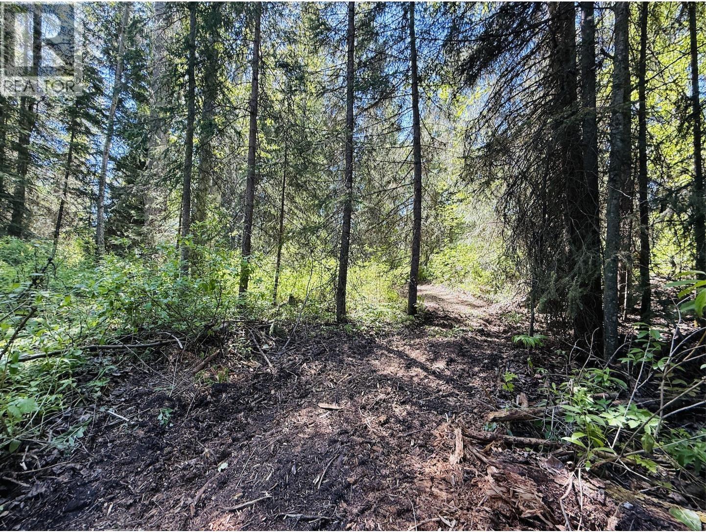 1 3000 Dahlie Road, Smithers, British Columbia  V0J 2N4 - Photo 4 - R3029043
