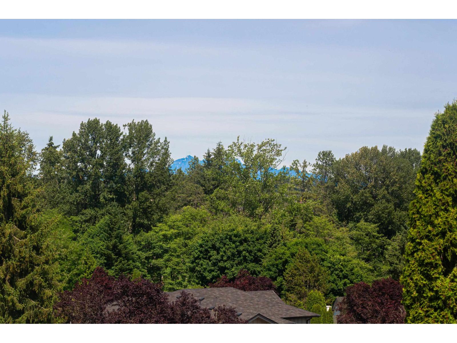 8034 138 Street, Surrey, British Columbia  V3W 8P9 - Photo 39 - R3131824