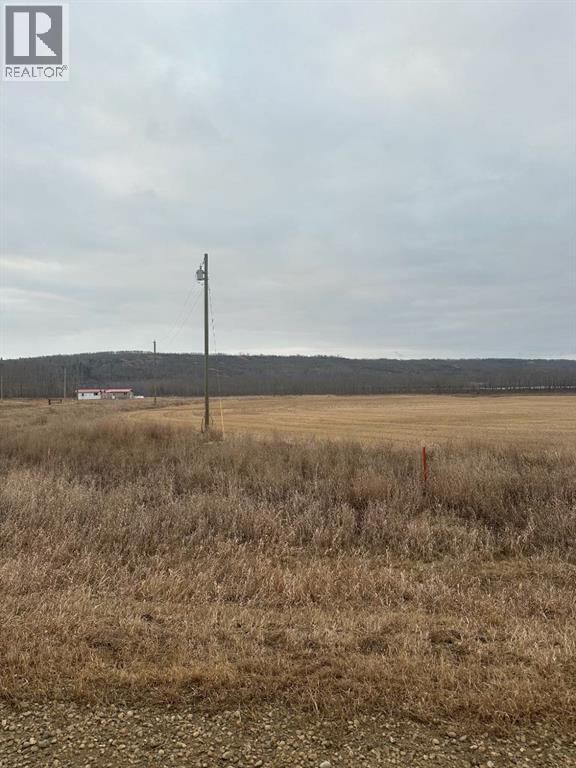4-1-2121458 242a Range, Rural Birch Hills County, Alberta  T0H 3R0 - Photo 1 - A2229174