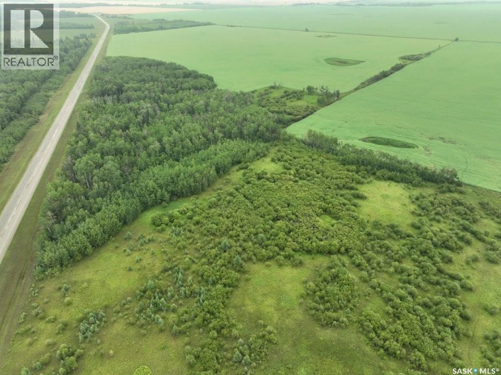 93 Acres Hwy#9 South, Hudson Bay Rm No. 394, Saskatchewan  S0E 0Y0 - Photo 5 - SK038134