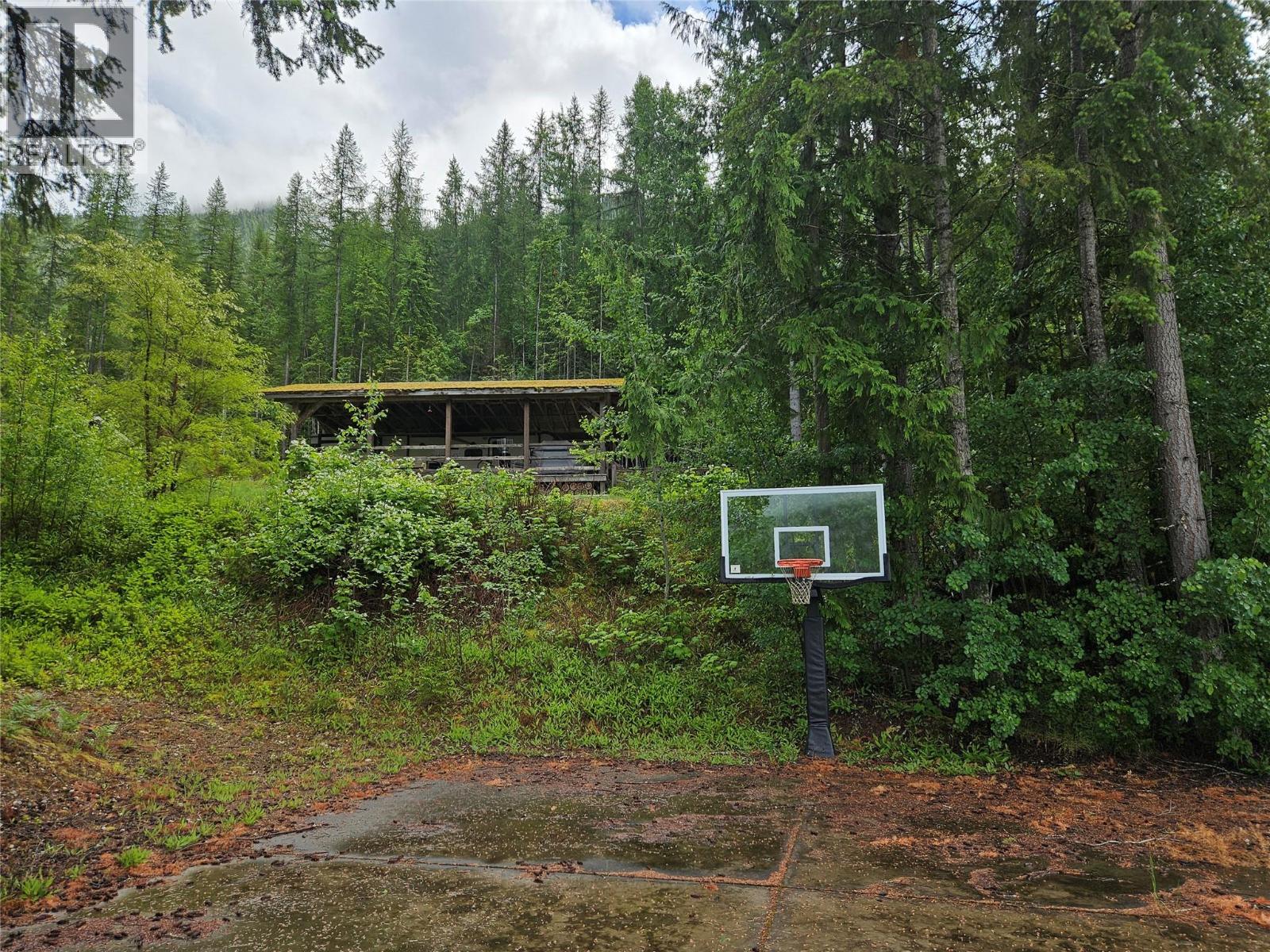 2995 Idler Road, Nakusp, British Columbia  V0G 1R1 - Photo 2 - 10390021