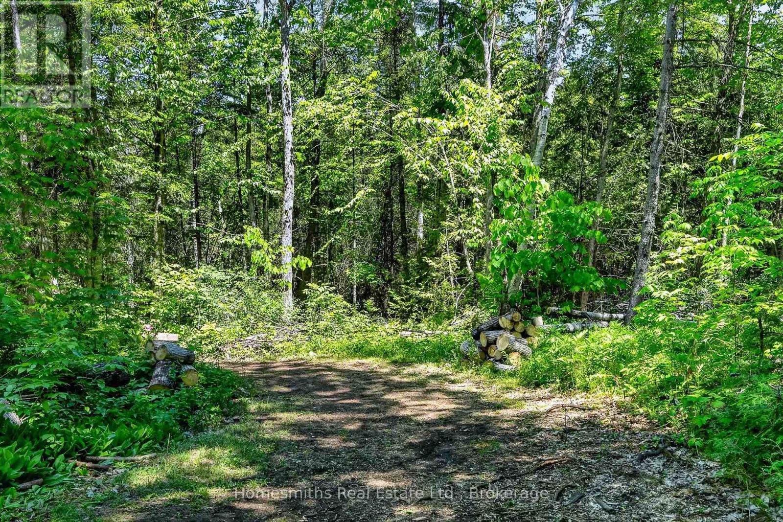 Lorem Ipsum Dolor Sit Amet,, Alnwick/haldimand, Ontario  K0K  - Photo 22 - DEMO29848823