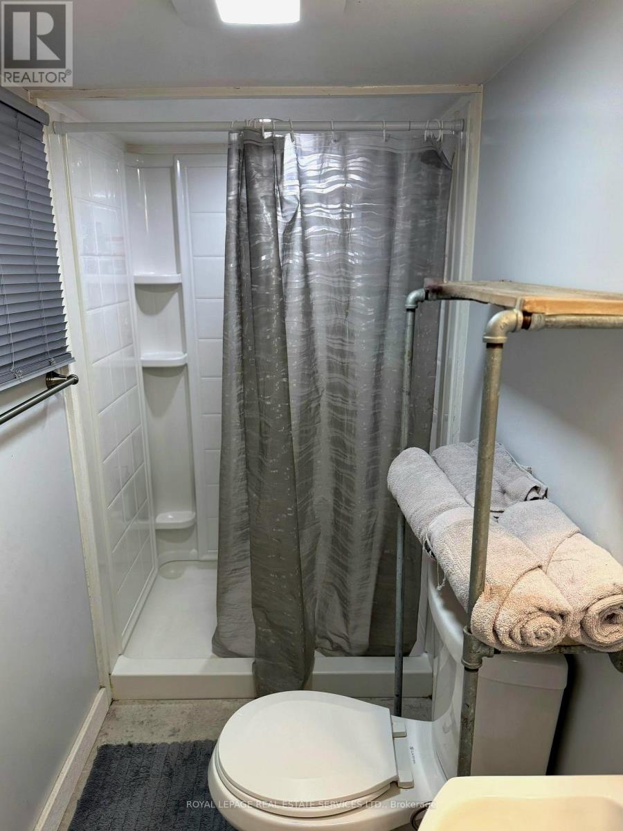 Lower - 1399 Lansdowne Avenue, Toronto, Ontario  M6H 3Z9 - Photo 10 - W13237286