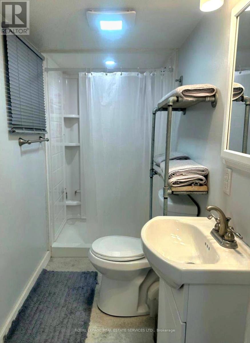 Lower - 1399 Lansdowne Avenue, Toronto, Ontario  M6H 3Z9 - Photo 4 - W13237286