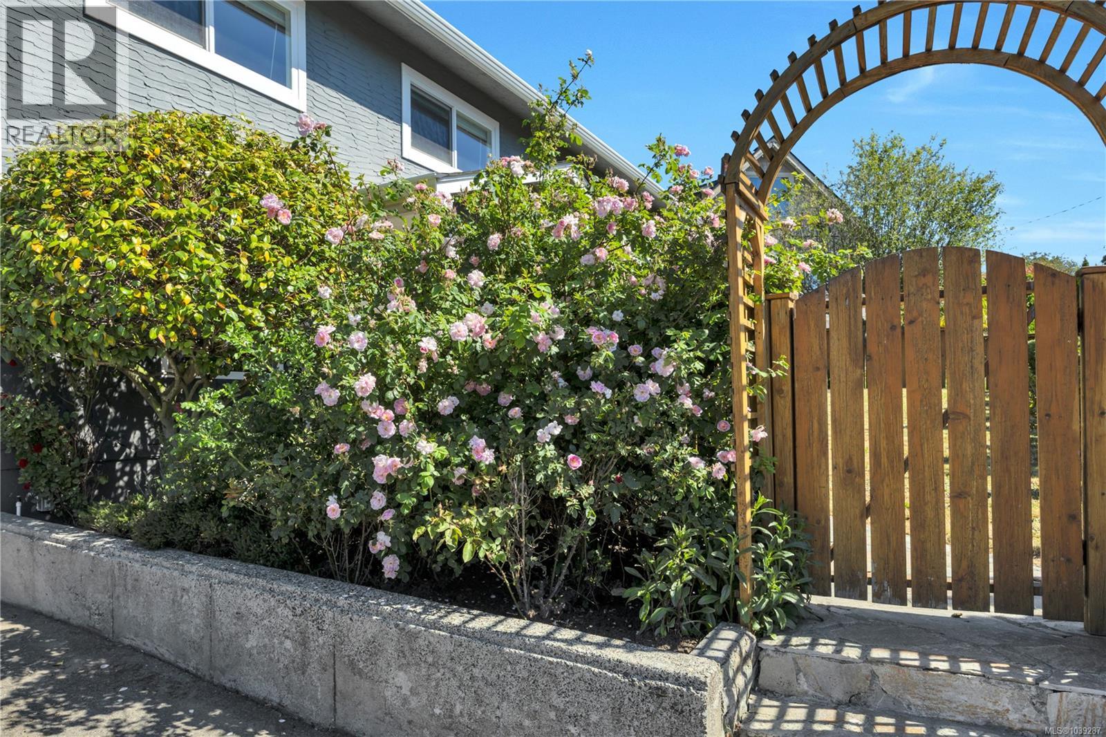 3236 Cedar Hill Rd, Saanich, British Columbia  V8P 3Y3 - Photo 5 - 1039287