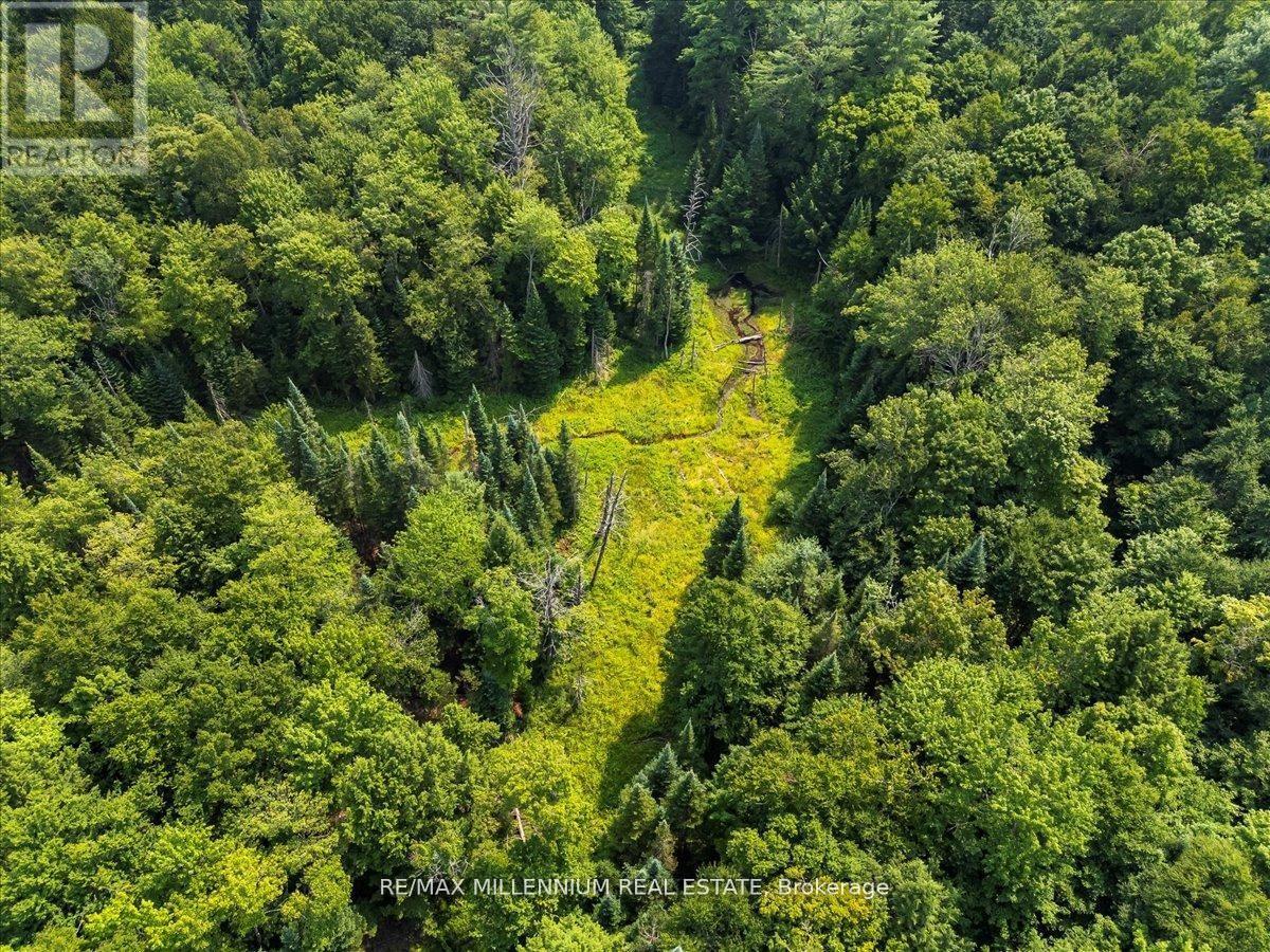 3529 Highway 118 E, Bracebridge, Ontario  P1L 1X1 - Photo 18 - X13237428