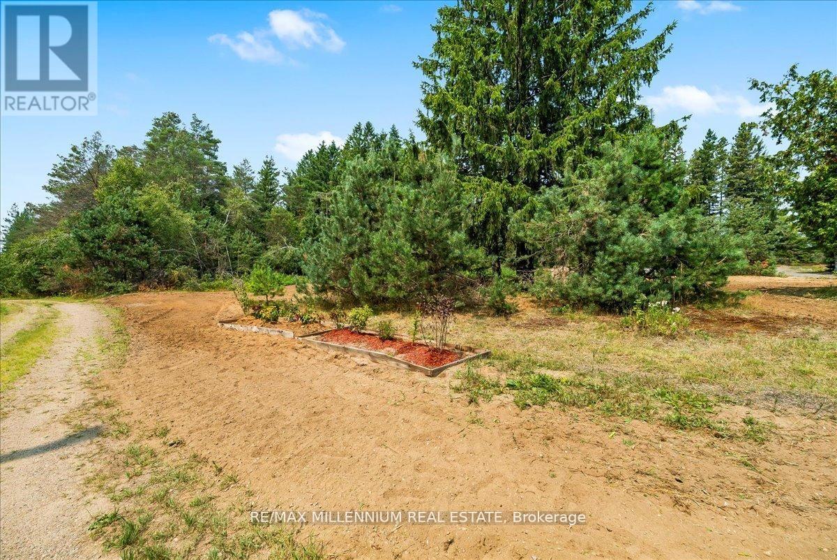 3529 Highway 118 E, Bracebridge, Ontario  P1L 1X1 - Photo 5 - X13237428