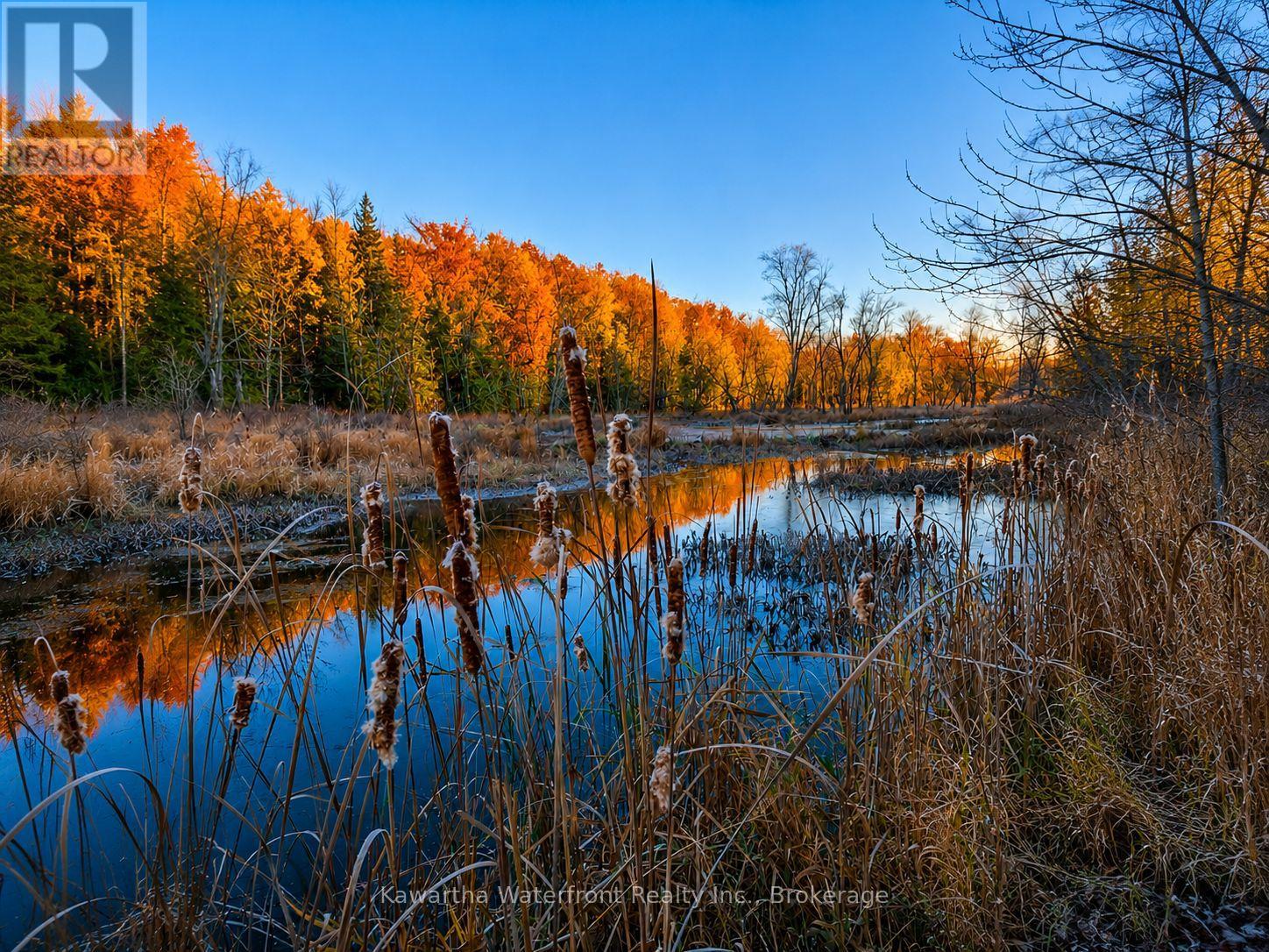 261 Shadow Lake 4 Road, Kawartha Lakes, Ontario  K0M 1K0 - Photo 30 - X13237528