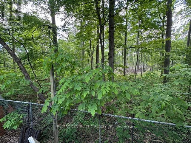 37 - 22790 Amiens Road, Middlesex Centre, Ontario  N0L 1R0 - Photo 17 - X13237470