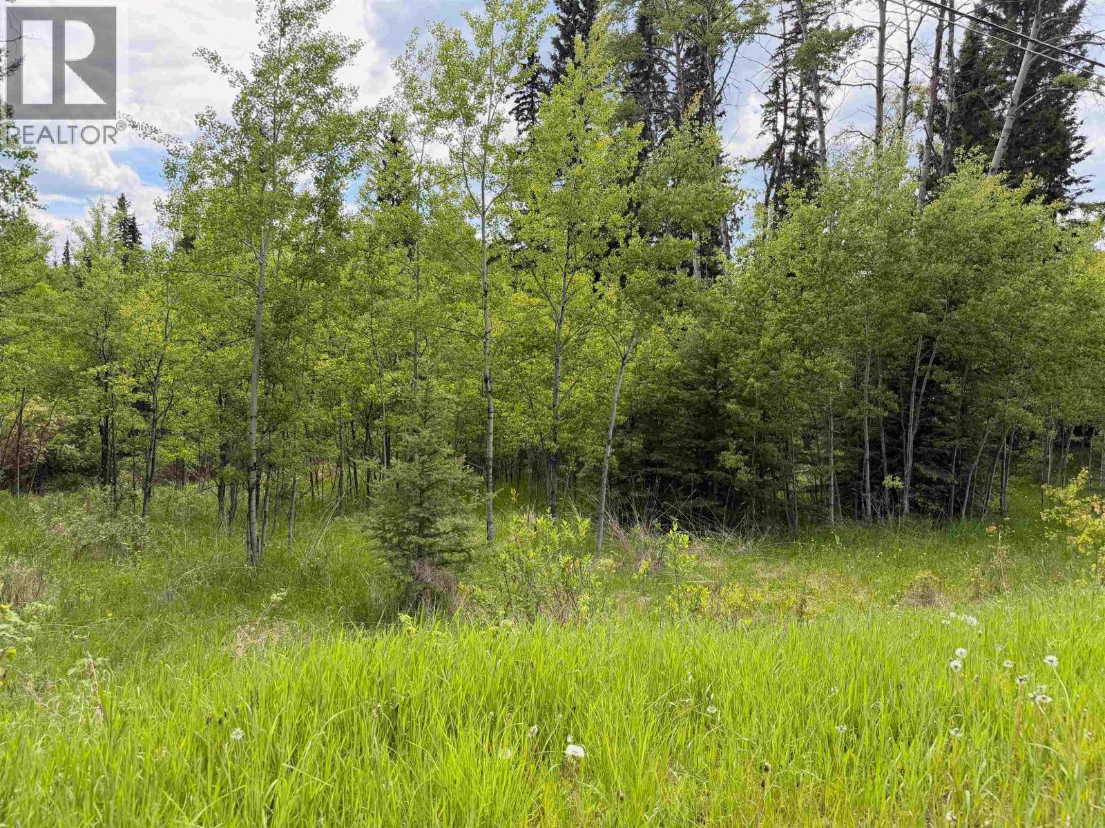6399 Lambley Road, Horse Lake, British Columbia  V0K 2E3 - Photo 5 - R3104808