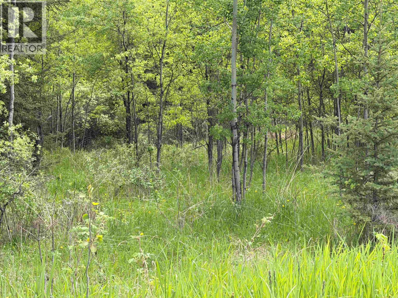6399 Lambley Road, Horse Lake, British Columbia  V0K 2E3 - Photo 6 - R3104808