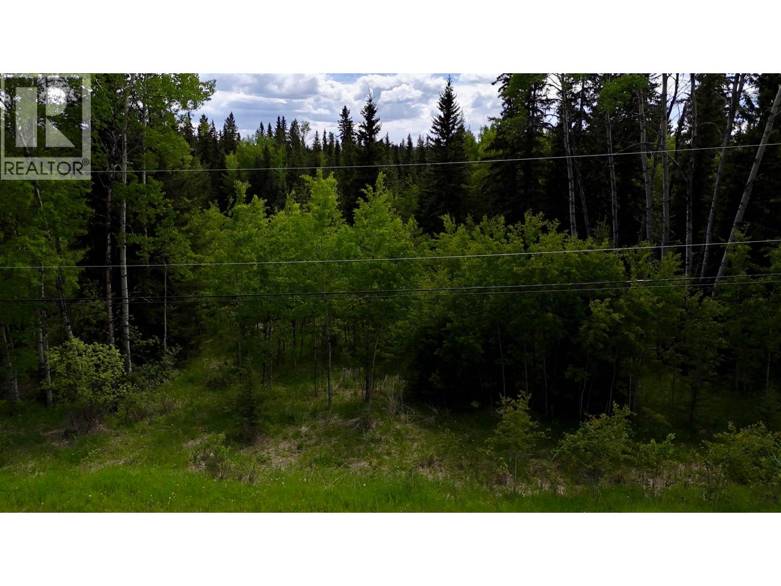 6399 Lambley Road, Horse Lake, British Columbia  V0K 2E3 - Photo 14 - R3104808