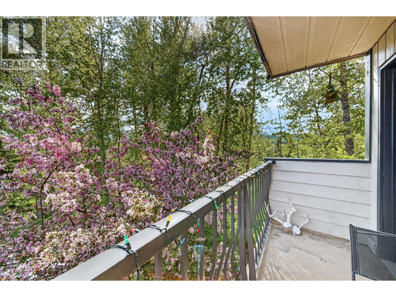 65 Cokato Road Unit# 308, Fernie, British Columbia  V0B 1M4 - Photo 17 - 10389610