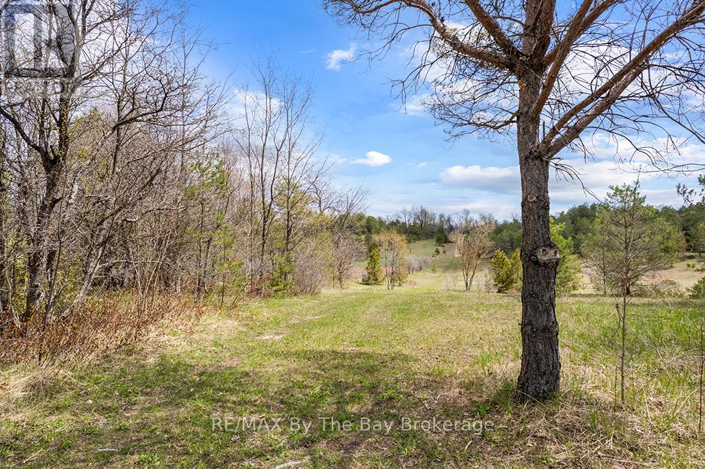 353814 Osprey Artemesia Townline, Grey Highlands, Ontario  N0C 1J0 - Photo 10 - X13237674