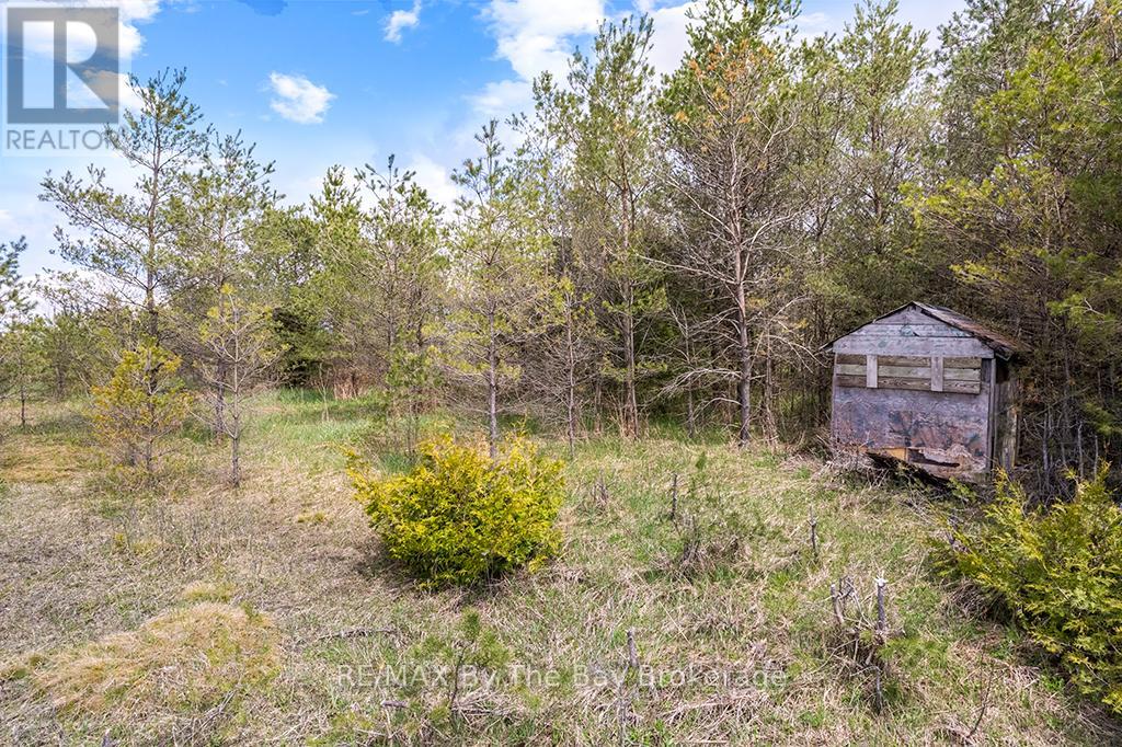 353814 Osprey Artemesia Townline, Grey Highlands, Ontario  N0C 1J0 - Photo 18 - X13237674